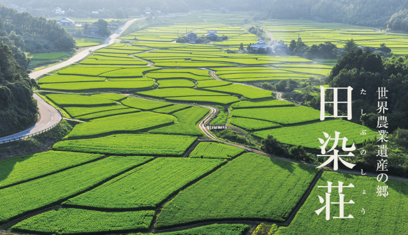 平安時代から続く1000年前の農村風景が残る世界遺産・田染荘の田園